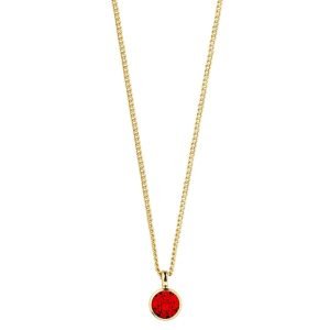 Dyrberg/Kern Ette Ruby Necklace, Gold